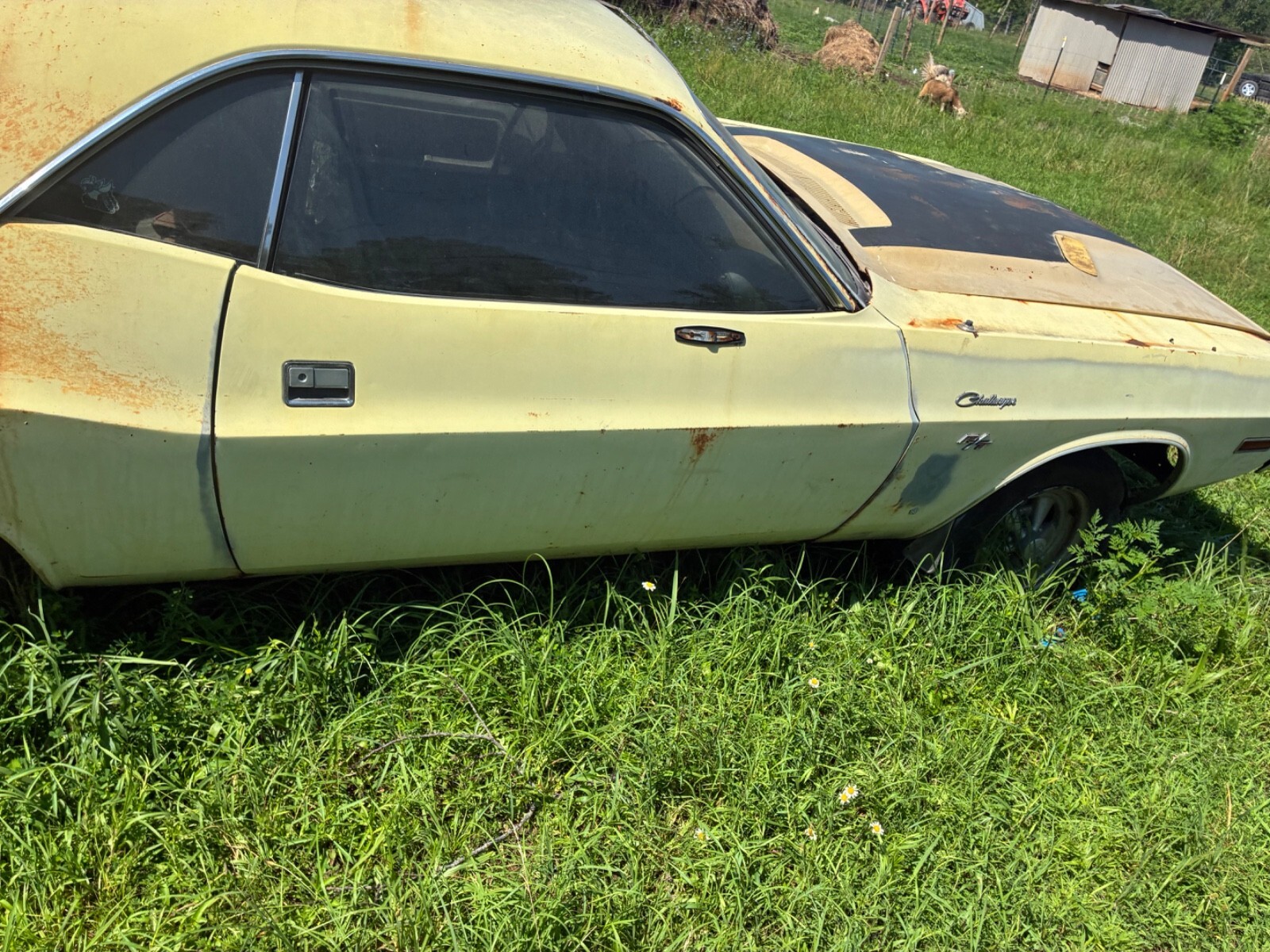 1970 Dodge Challenger - photo 6