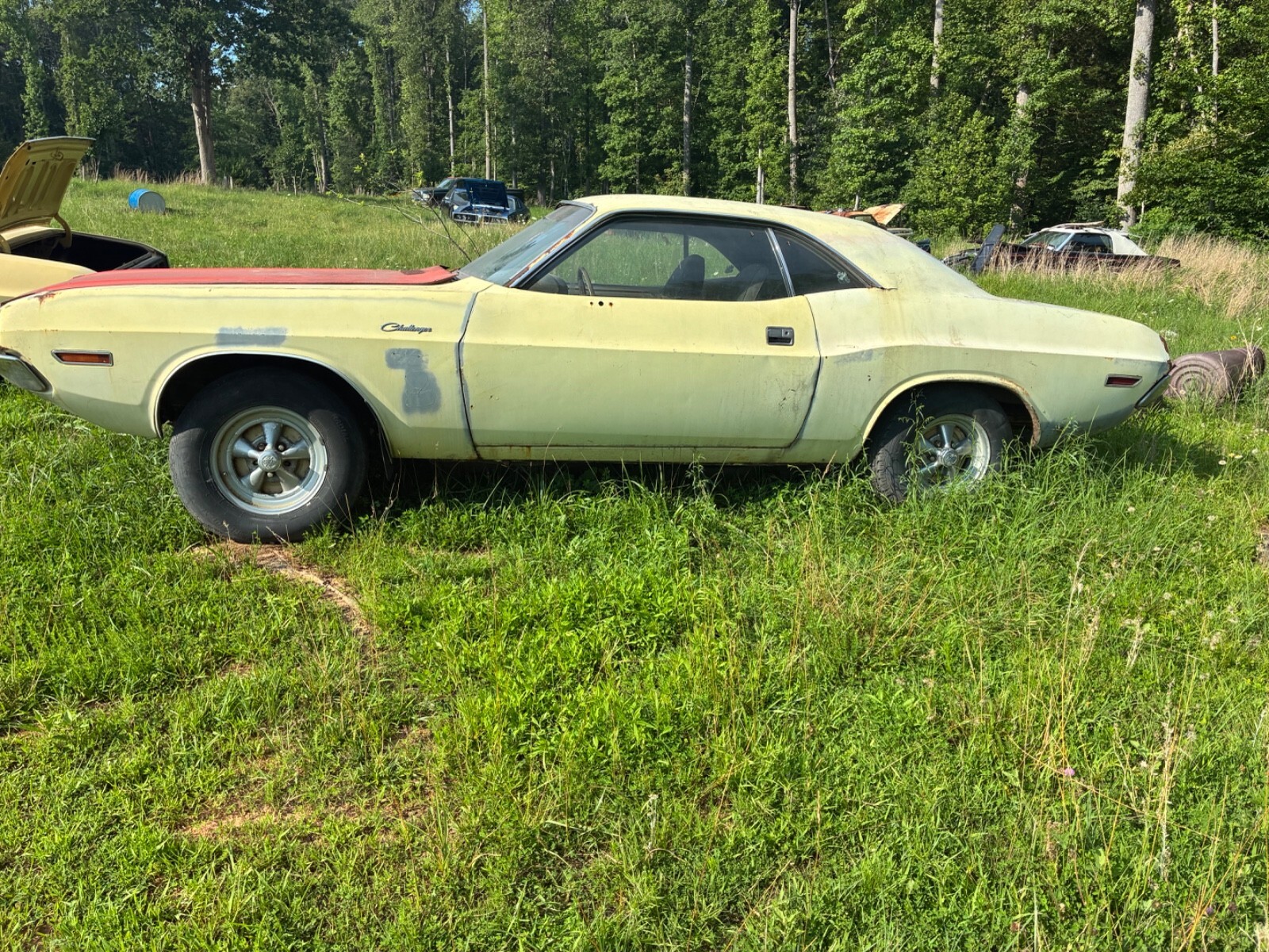 1970 Dodge Challenger - photo 8