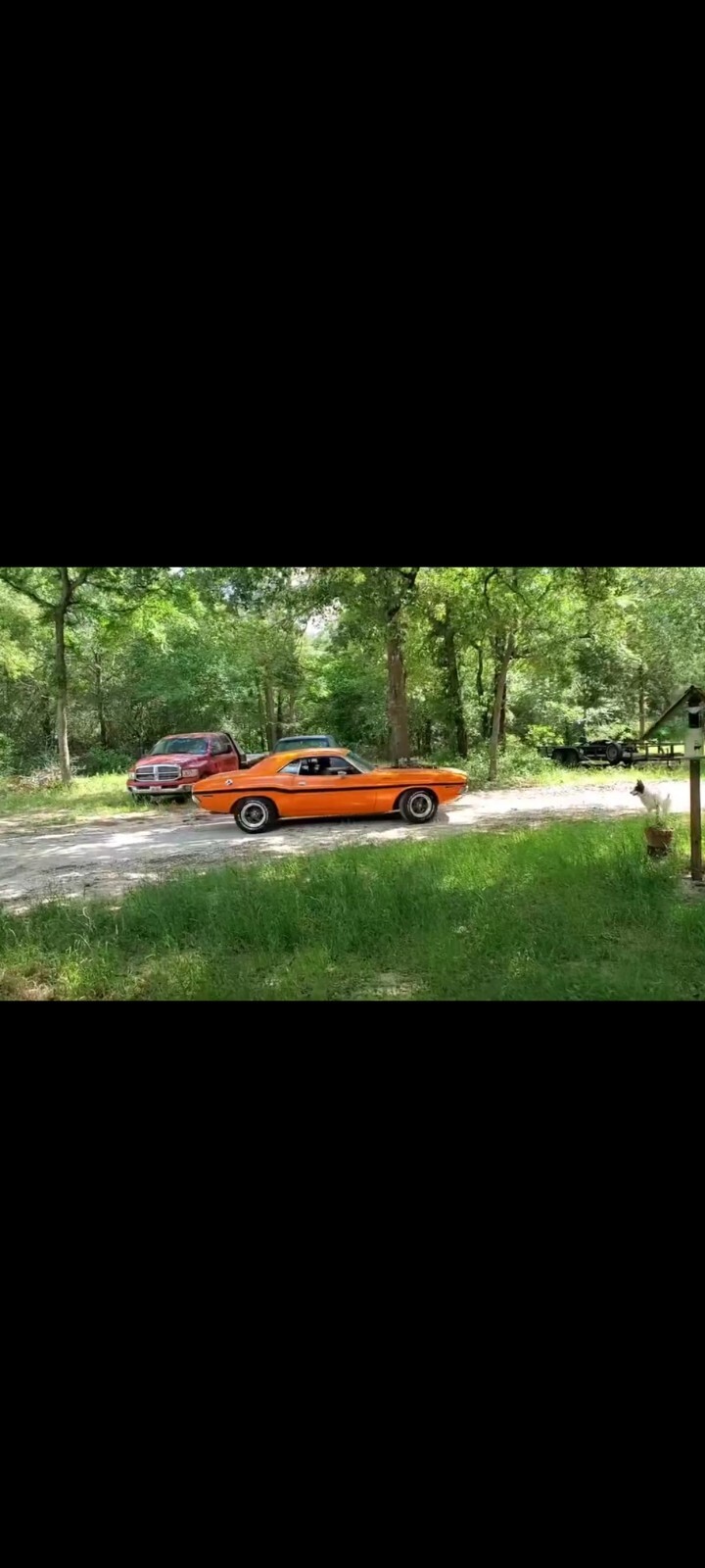 1970 Dodge Challenger - photo 8