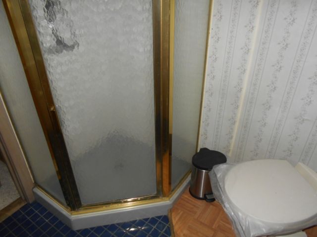 Eagle - photo 10