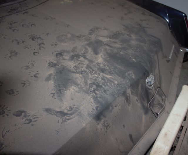 1970 Cadillac Eldorado - photo 5