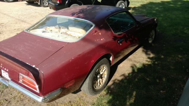 1970 Pontiac Firebird Espirt - photo 3