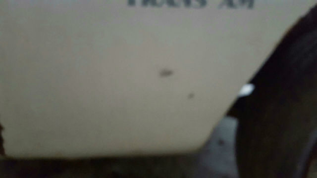 1970 Pontiac Firebird Trans AM - photo 3