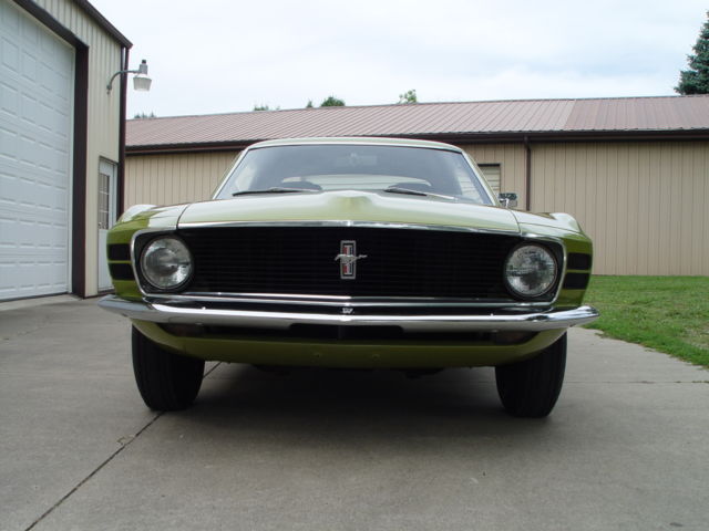 1970 Ford Mustang Stripper - photo 10