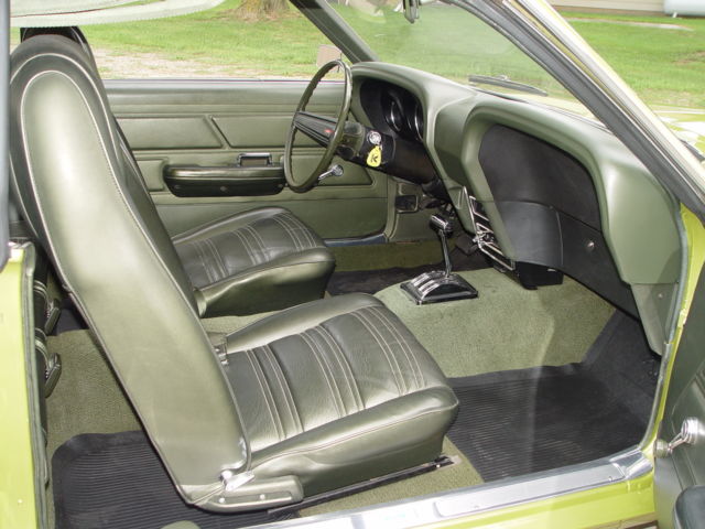 1970 Ford Mustang Stripper - photo 11