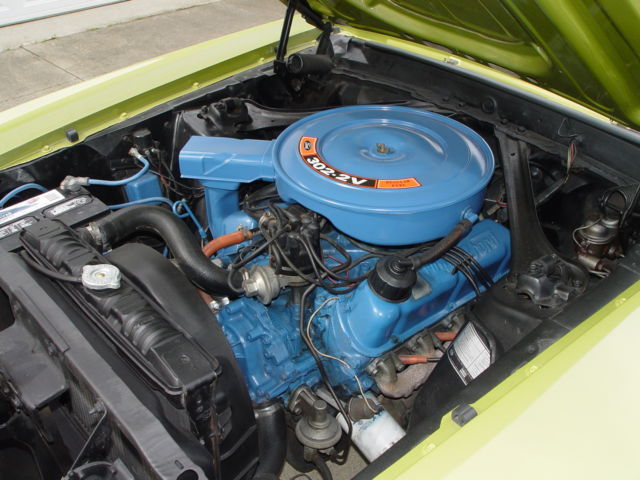 1970 Ford Mustang Stripper - photo 13