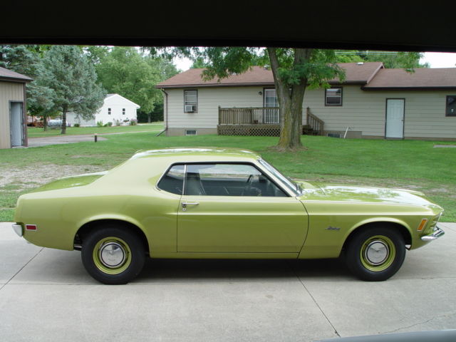 1970 Ford Mustang Stripper - photo 2
