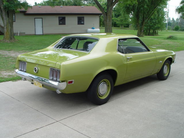1970 Ford Mustang Stripper - photo 3