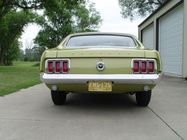 1970 Ford Mustang Stripper - photo 5