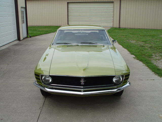 1970 Ford Mustang Stripper - photo 9