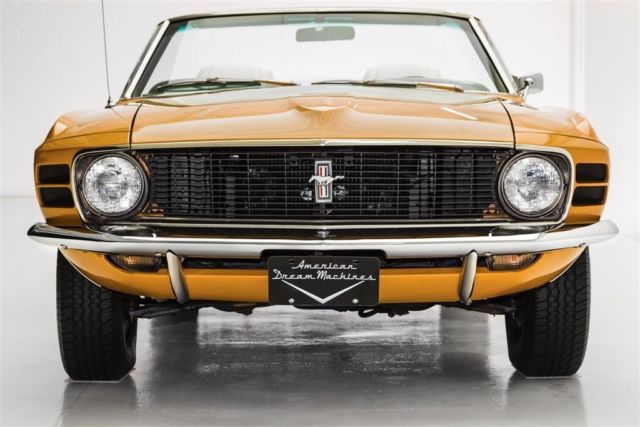 1970 Ford Mustang Convertible Amazing!!!  (WINTER CLEARANCE SALE $24 - photo 3