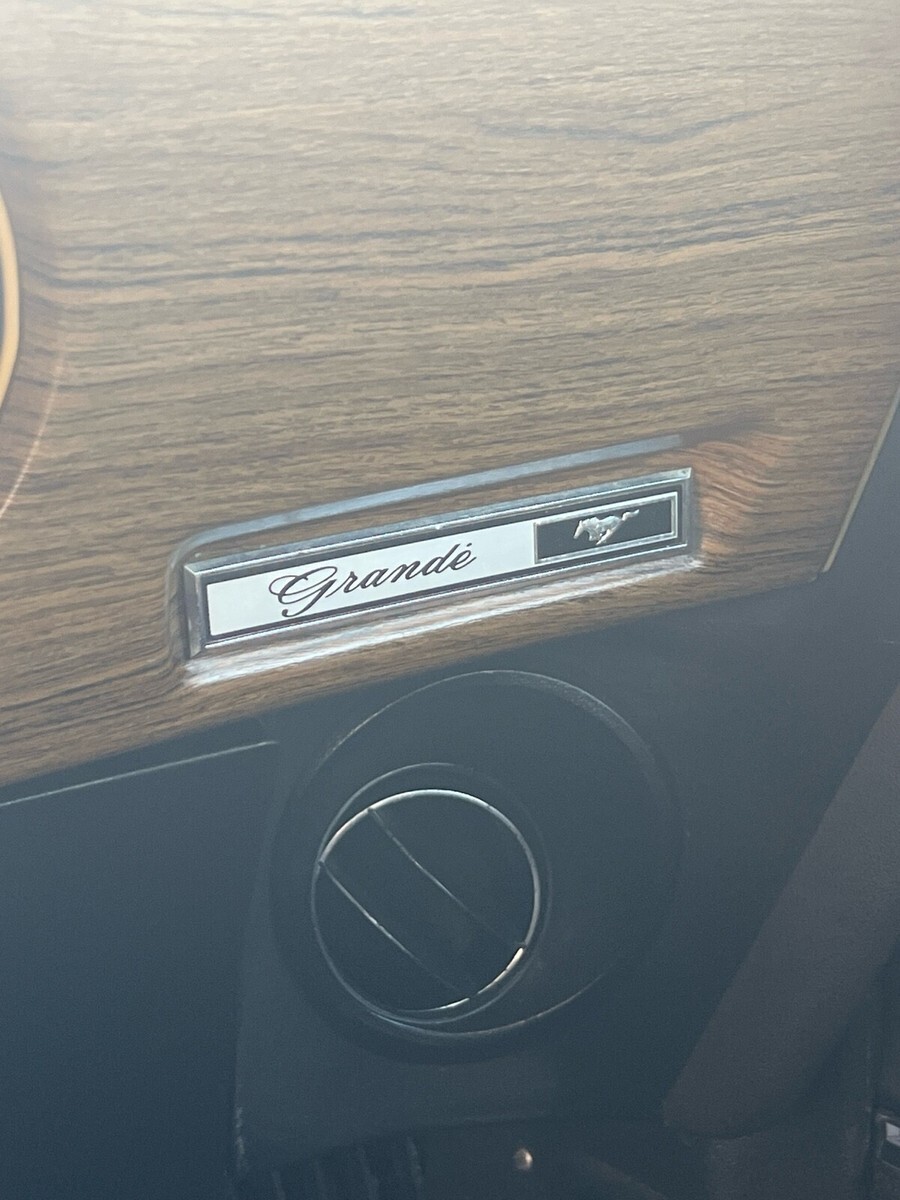 1970 Ford Mustang Grande - photo 7