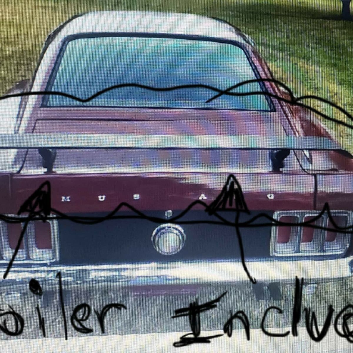 1970 Ford Mustang 302 v8 - photo 12