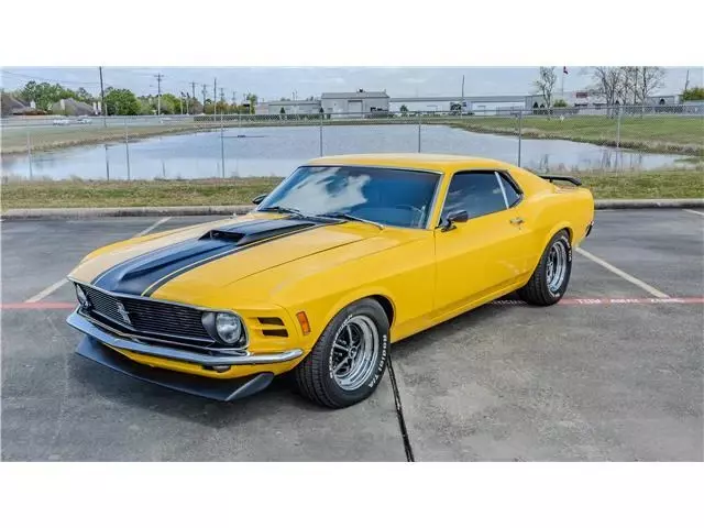 1970 Ford Mustang Fastback for sale! 1970 Ford Mustang