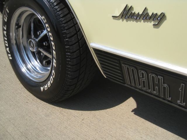 1970 Ford Mustang Mach 1 - photo 11
