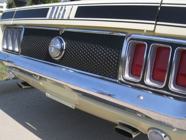 1970 Ford Mustang Mach 1 - photo 7
