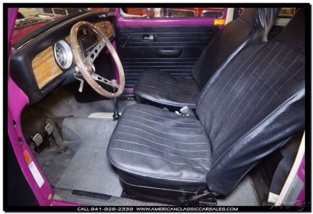 1970 Volkswagen Beetle - Classic Glitter Bug Special Edition - photo 2