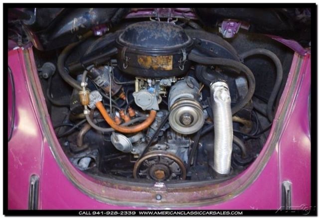 1970 Volkswagen Beetle - Classic Glitter Bug Special Edition - photo 3