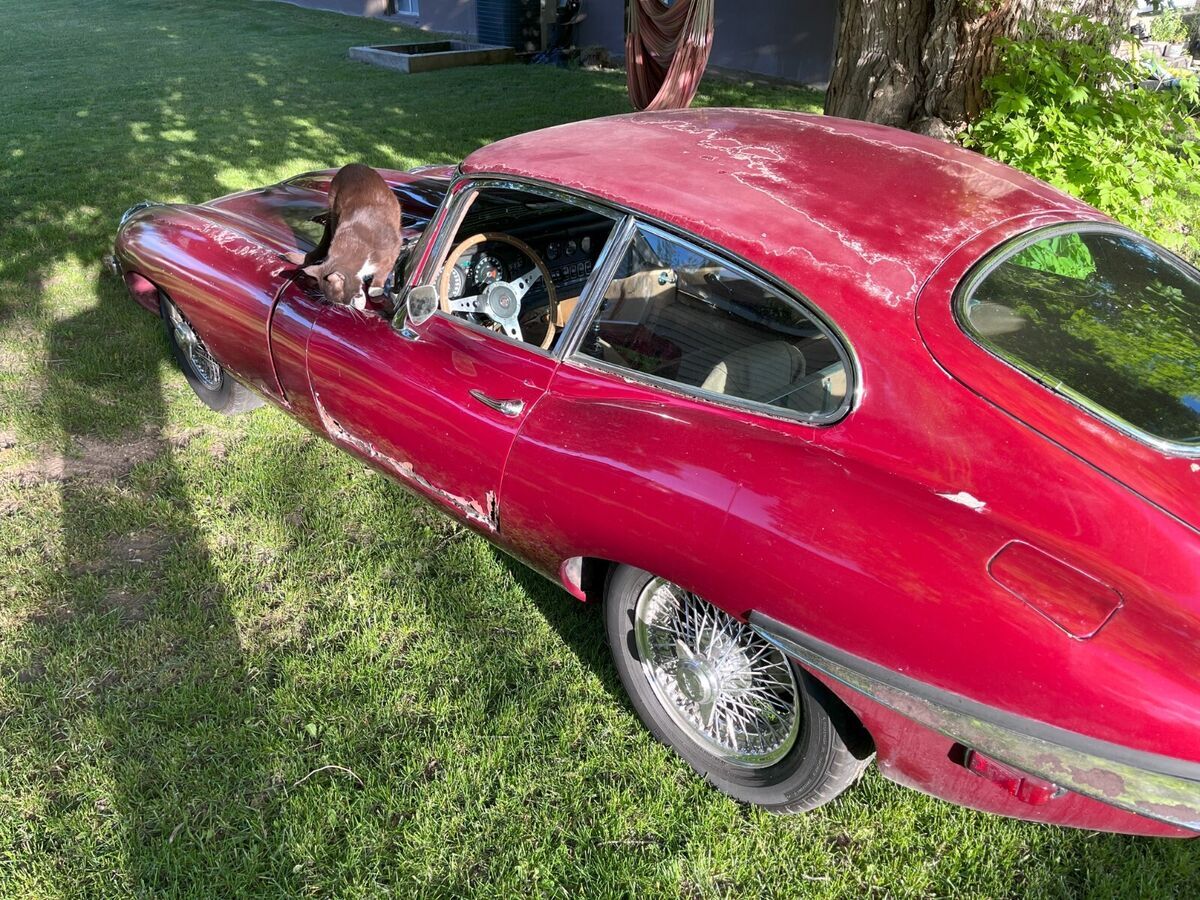 1970 Jaguar E-Type - photo 7