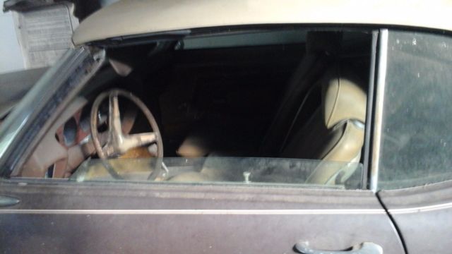 1970 Pontiac LeMans Sport - photo 3