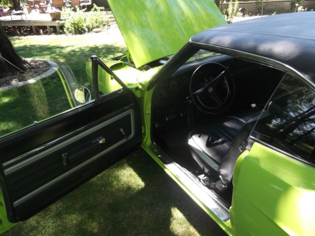 1970 Plymouth Road Runner Super Bird - photo 12