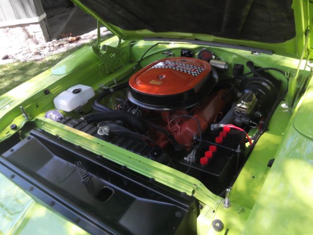 1970 Plymouth Road Runner Super Bird - photo 7