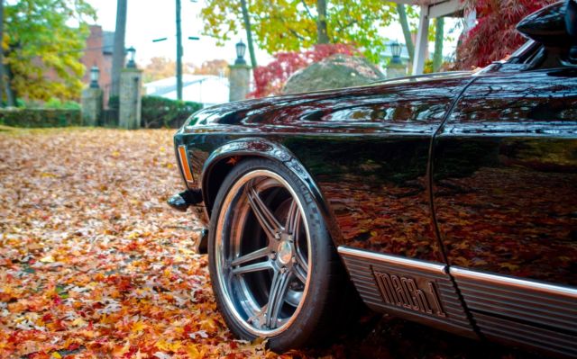 1970 Ford Mustang Mach 1 - photo 9