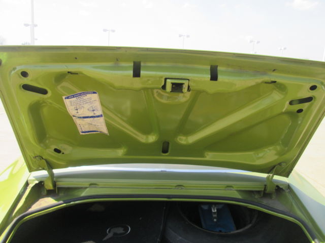 1970 Pontiac Firebird Base - photo 9