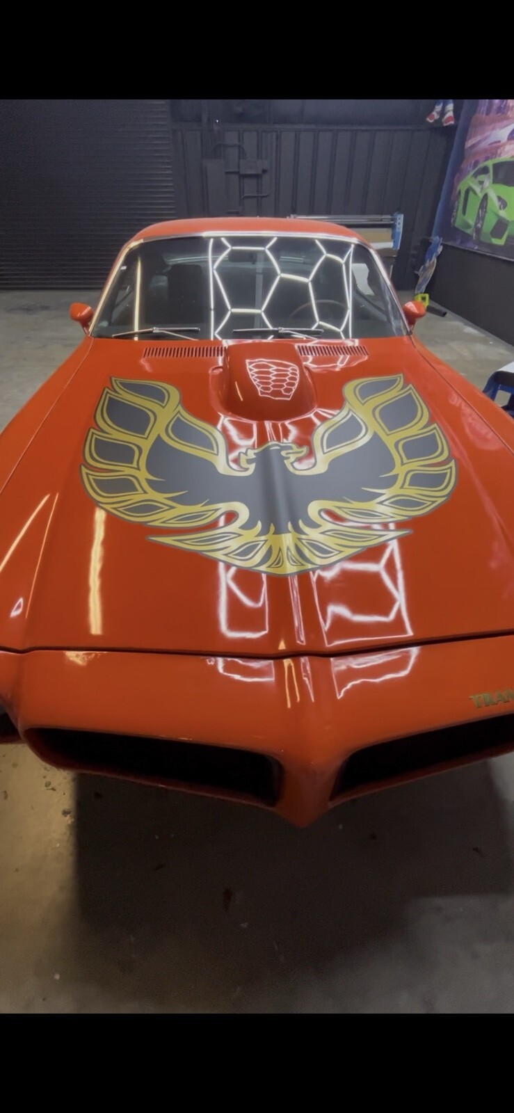 1970 Pontiac Firebird Firebird - photo 5