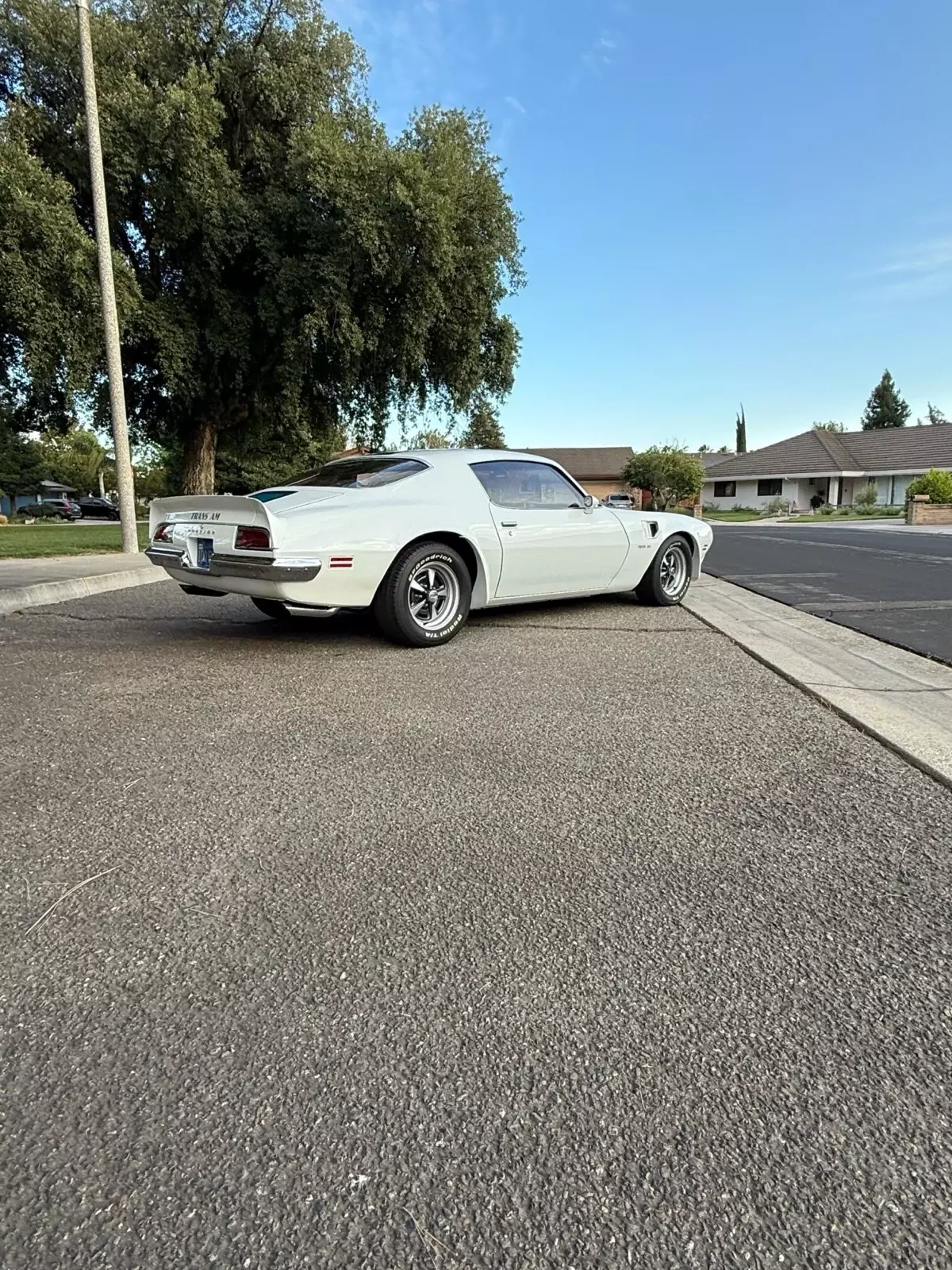 1970 Pontiac Firebird Trans Am - photo 11