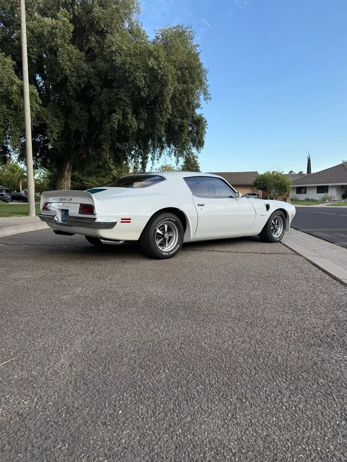 1970 Pontiac Firebird Trans Am - photo 12