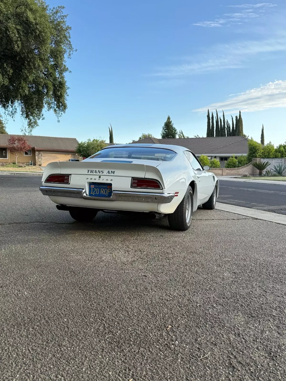 1970 Pontiac Firebird Trans Am - photo 13