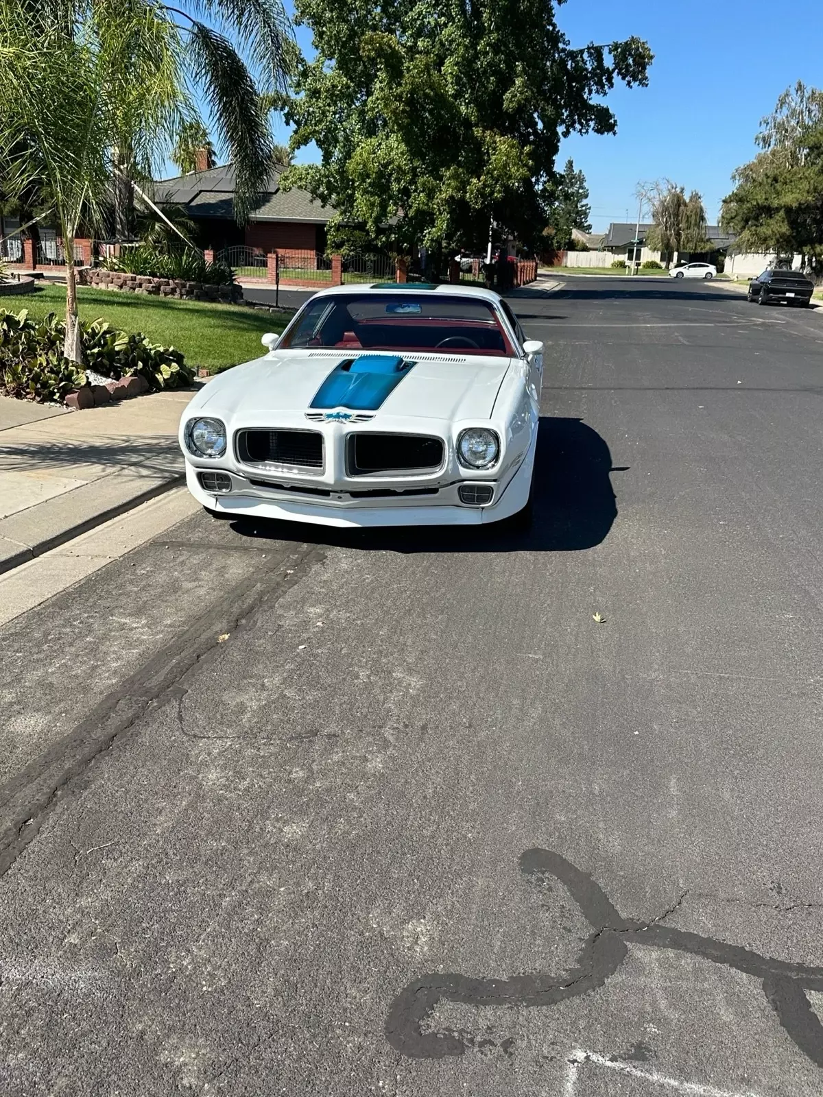 1970 Pontiac Firebird Trans Am - photo 2