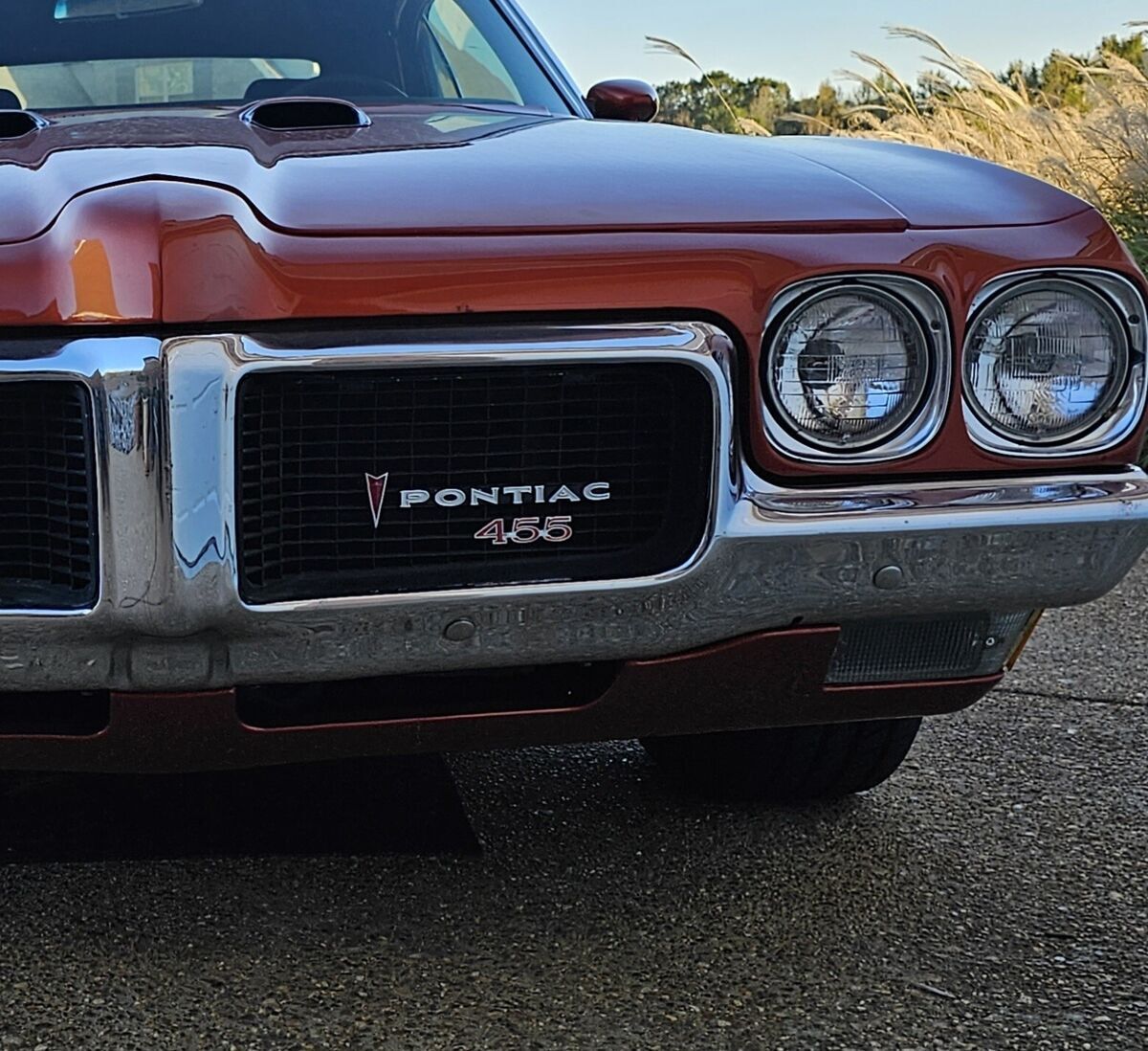 1970 Pontiac Le Mans - photo 11