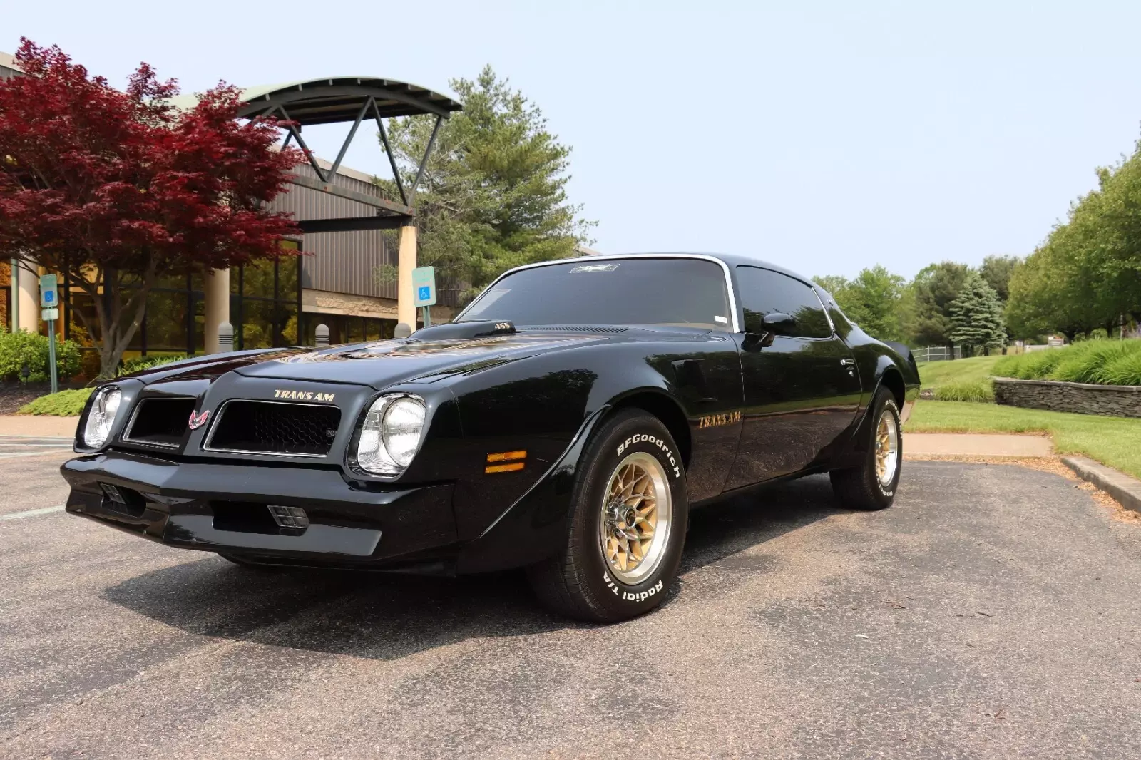 1976 Pontiac Trans Am - photo 10