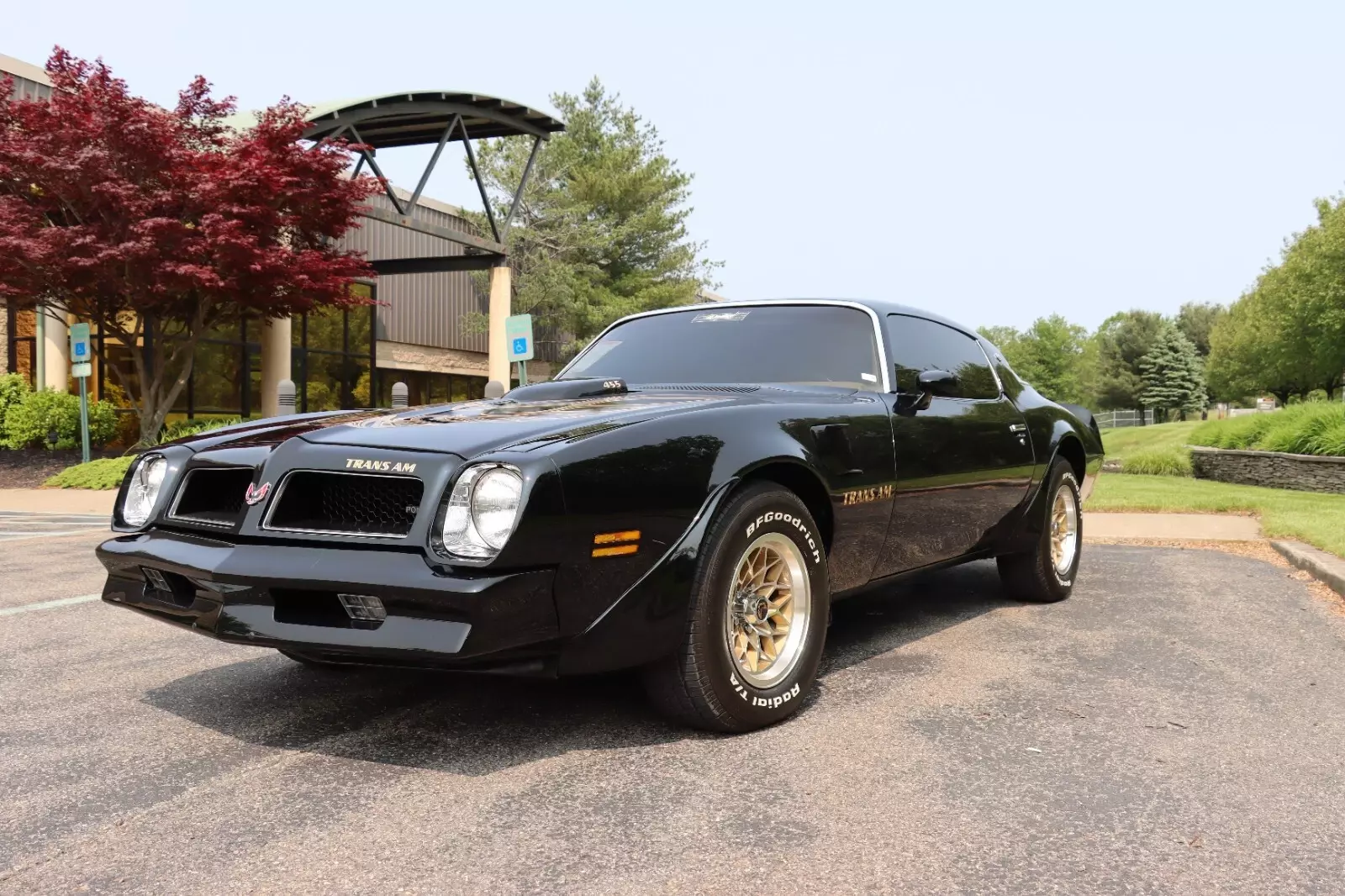 1976 Pontiac Trans Am - photo 11