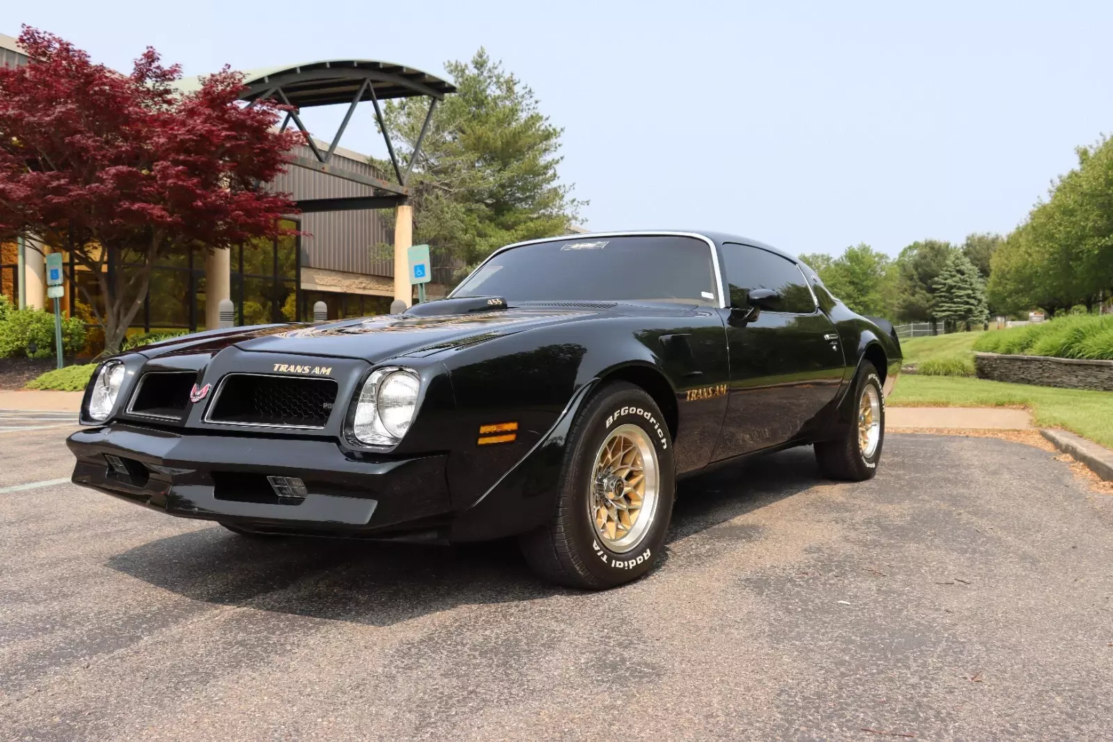 1976 Pontiac Trans Am - photo 12