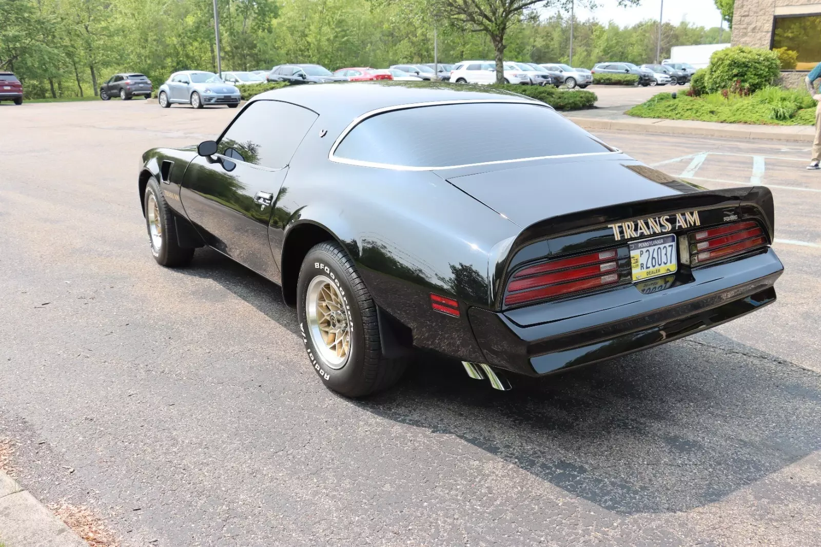 1976 Pontiac Trans Am - photo 13