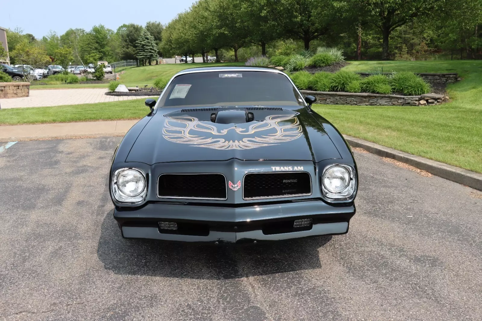 1976 Pontiac Trans Am - photo 2