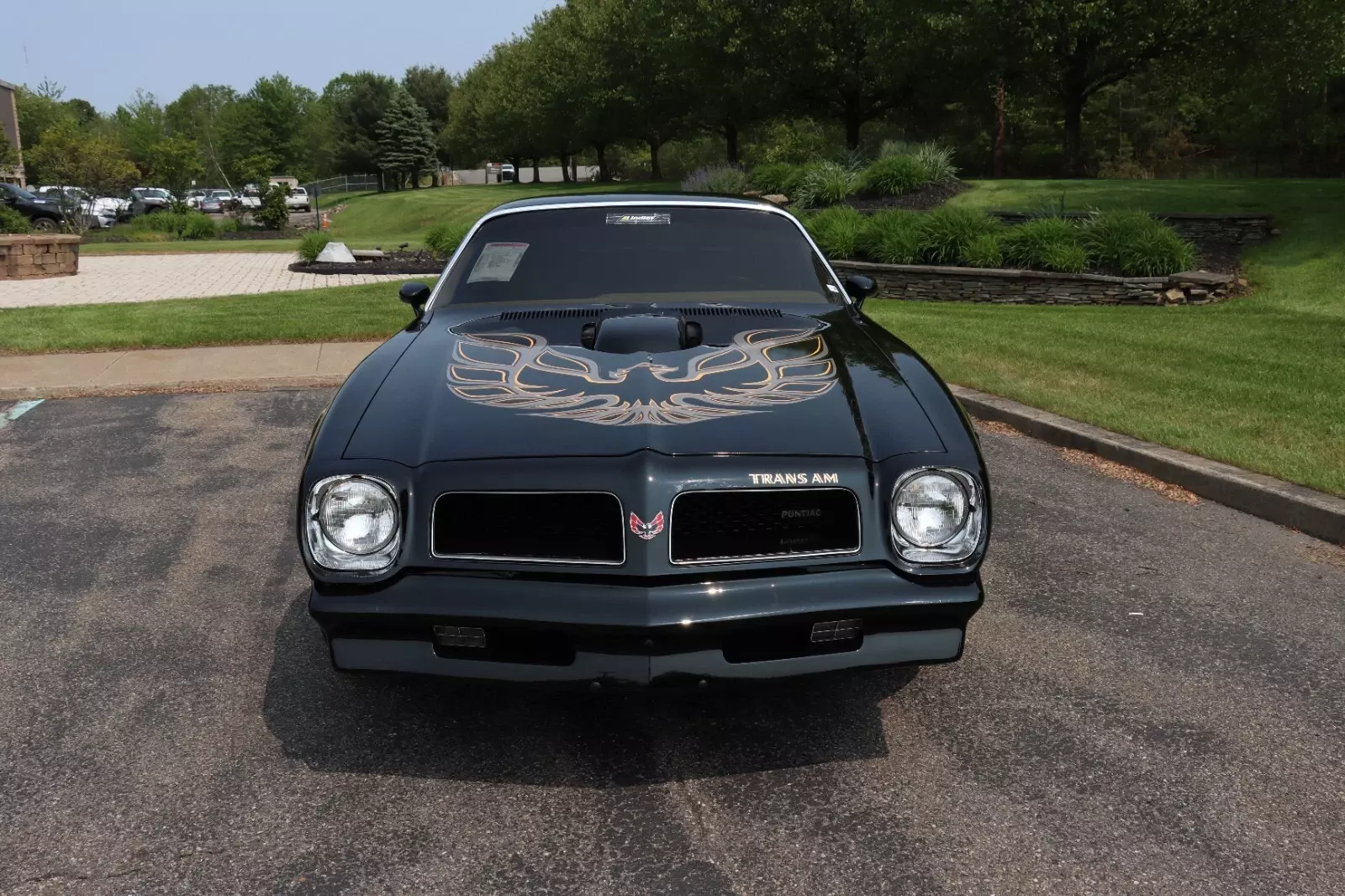 1976 Pontiac Trans Am - photo 3