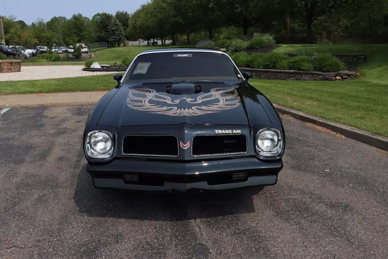 1976 Pontiac Trans Am - photo 4