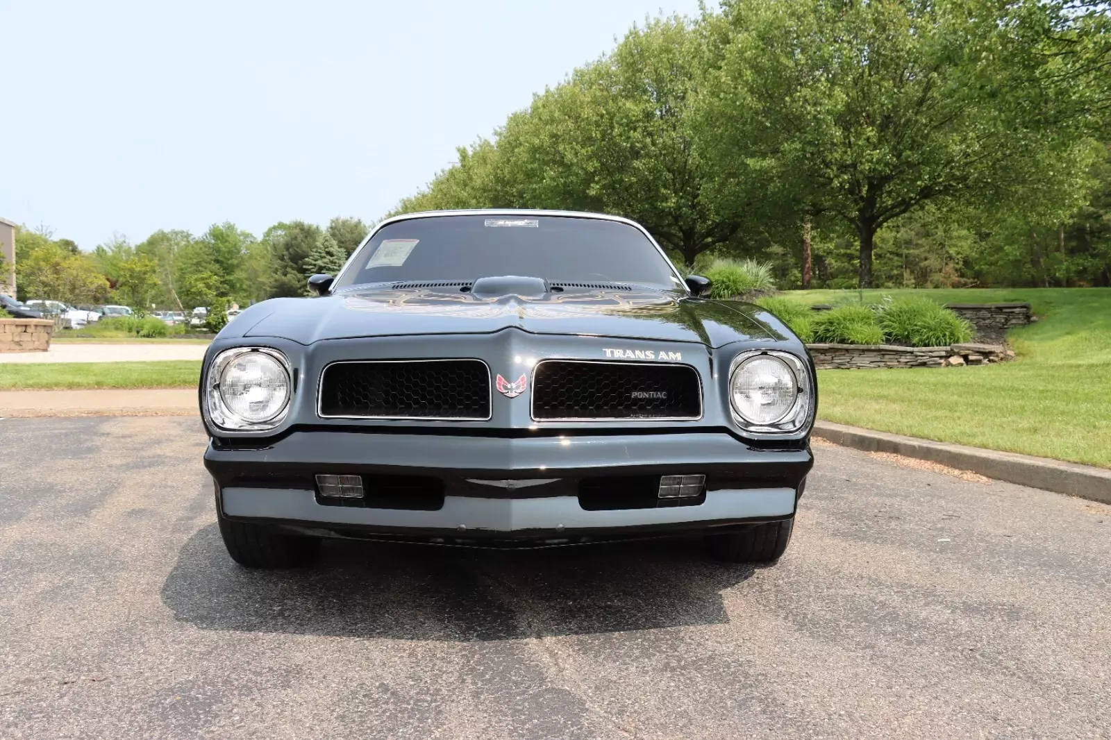 1976 Pontiac Trans Am - photo 5