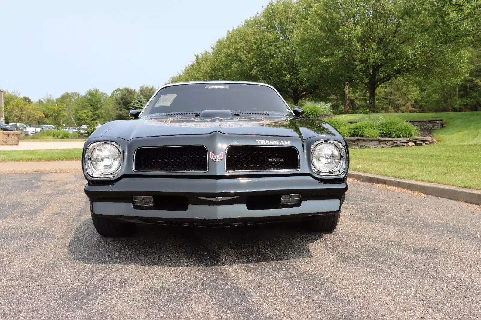 1976 Pontiac Trans Am - photo 7