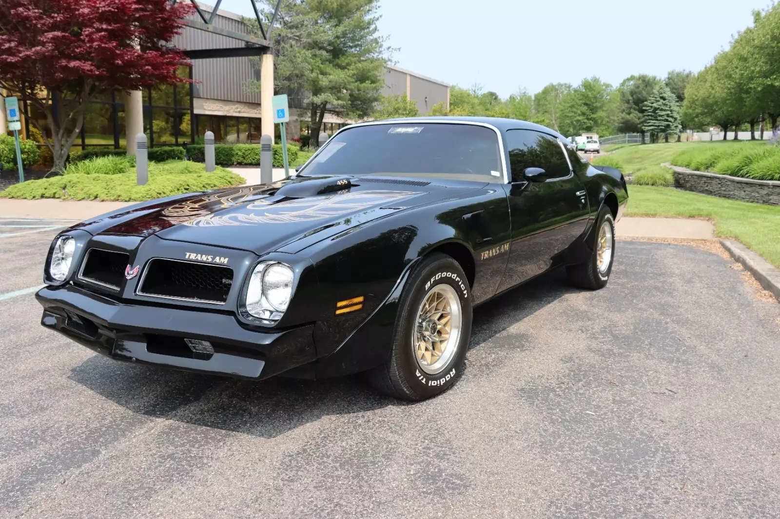 1976 Pontiac Trans Am - photo 8