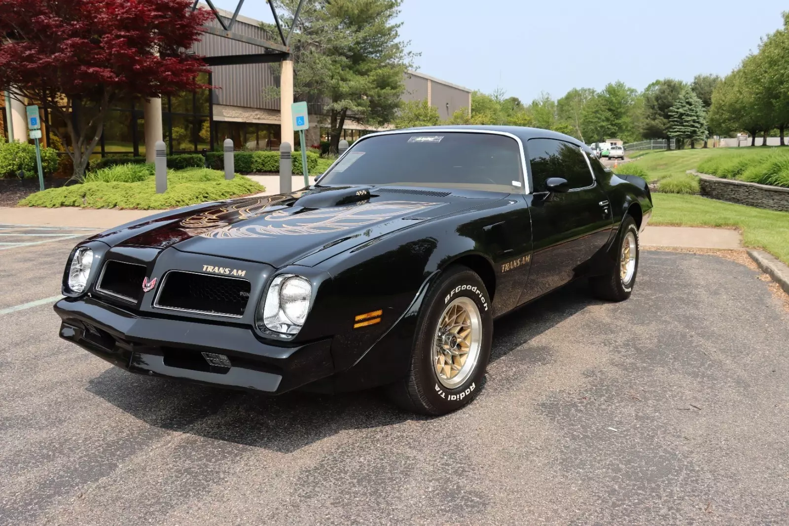 1976 Pontiac Trans Am - photo 9