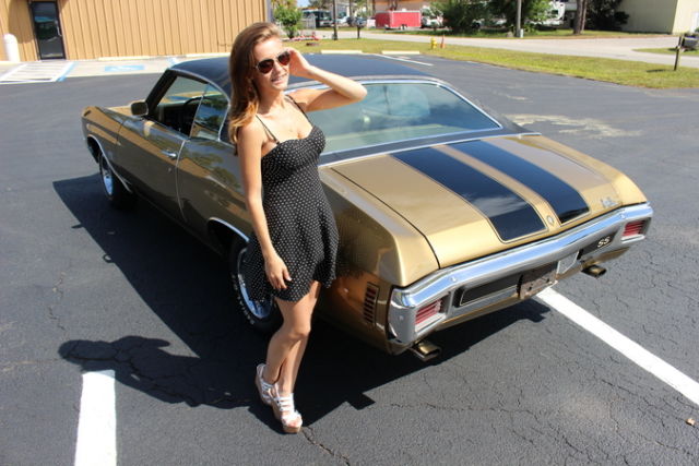 1970 Chevrolet Chevelle Chevelle - photo 11