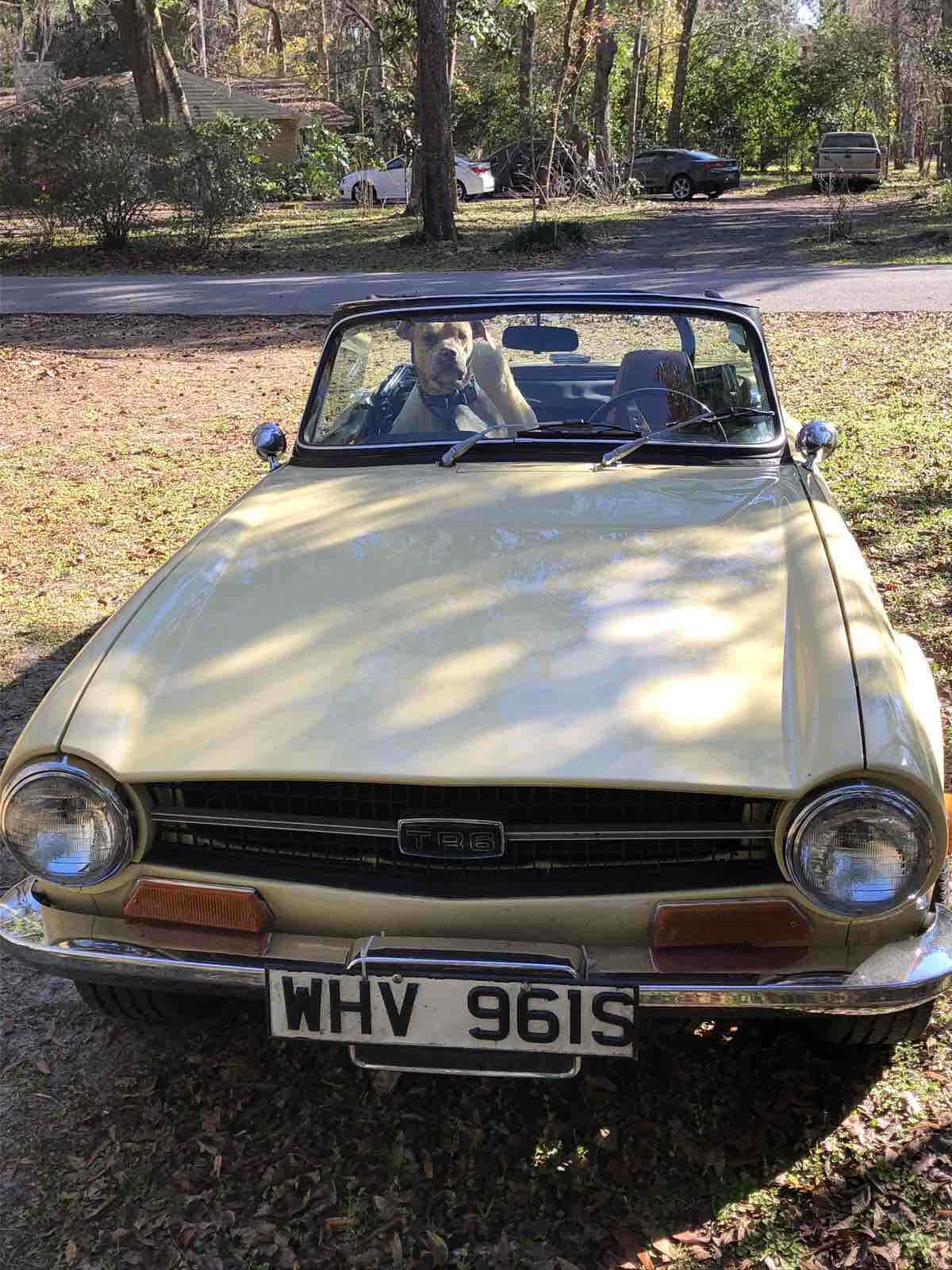 1970 Triumph TR6 - photo 4