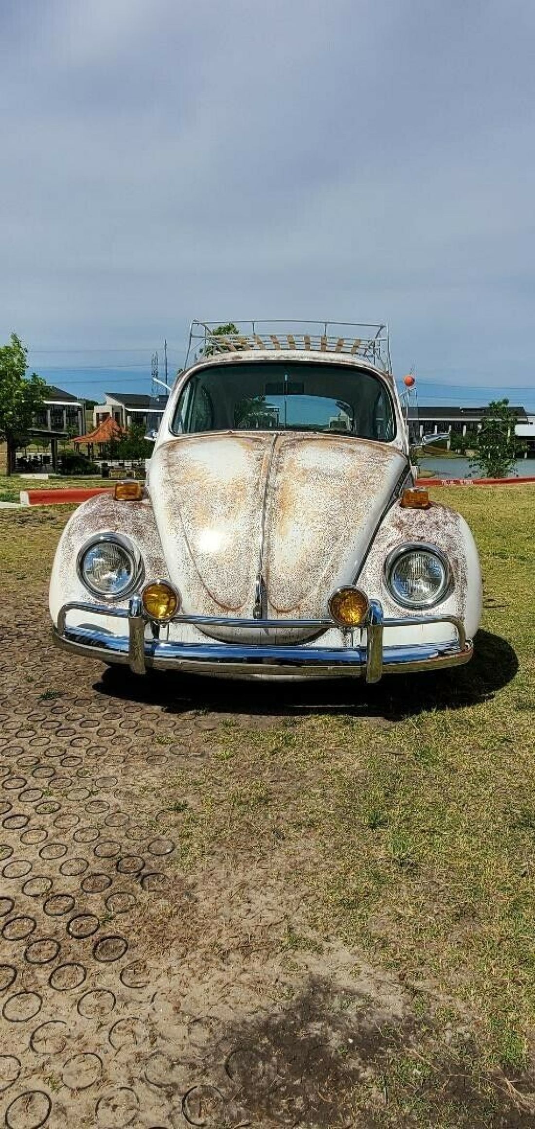1970 Volkswagen Beetle - Classic - photo 2
