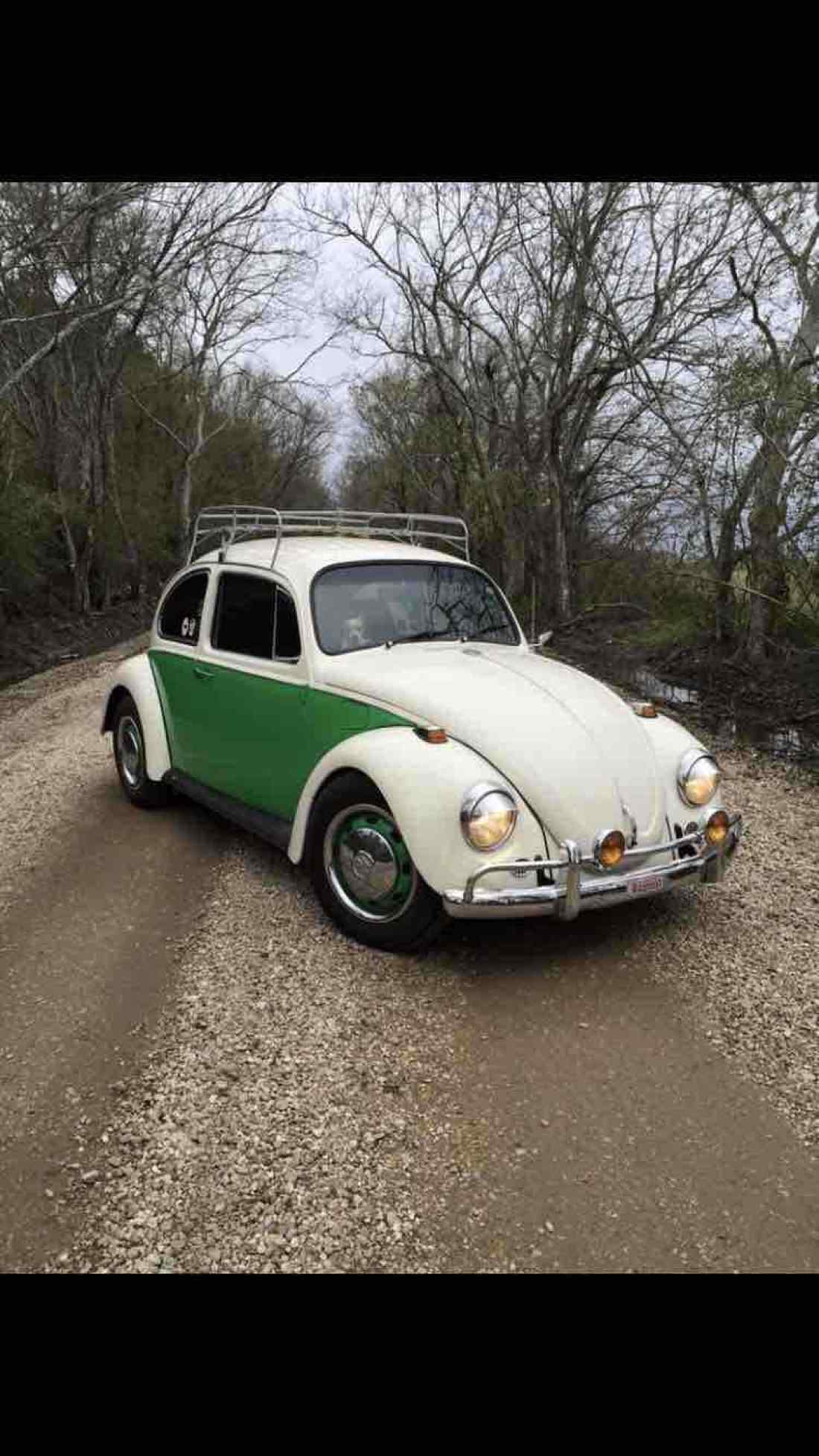 1970 Volkswagen Beetle (Pre-1980) Standard - photo 6