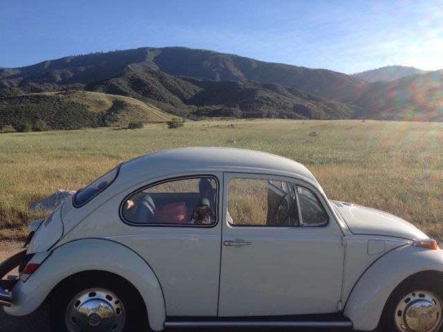 1970 VW Beetle - Enthusiast's Dream - Second Owner - So. California driven only 1970 Volkswagen Beetle - Classic